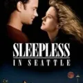 Sleepless in Seattle Logo