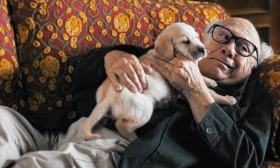 A Sudden Case of Christmas 1