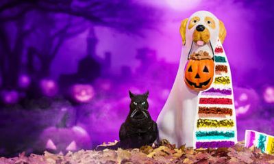 Is It Cake? Halloween 2 1