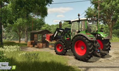 Farming Simulator 25 17