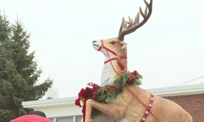 Prancer: A Christmas Tale 2