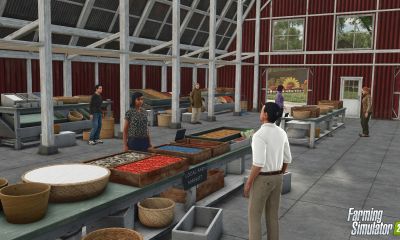 Farming Simulator 25 11