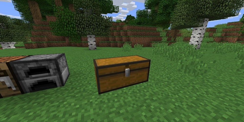 What New Biomes Will We See in the Minecraft 1.19 Update